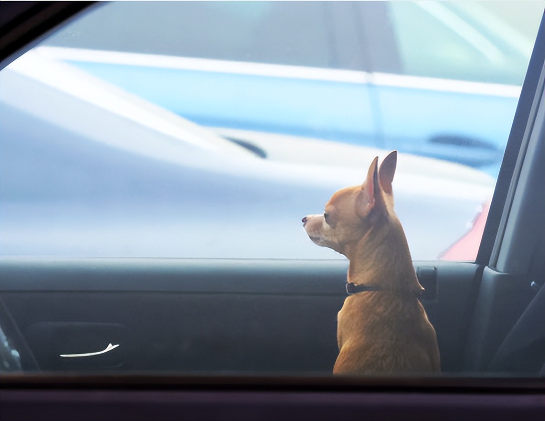 孤独的人不一定没有社交能力,一个人太孤独怎么突破社交壁垒