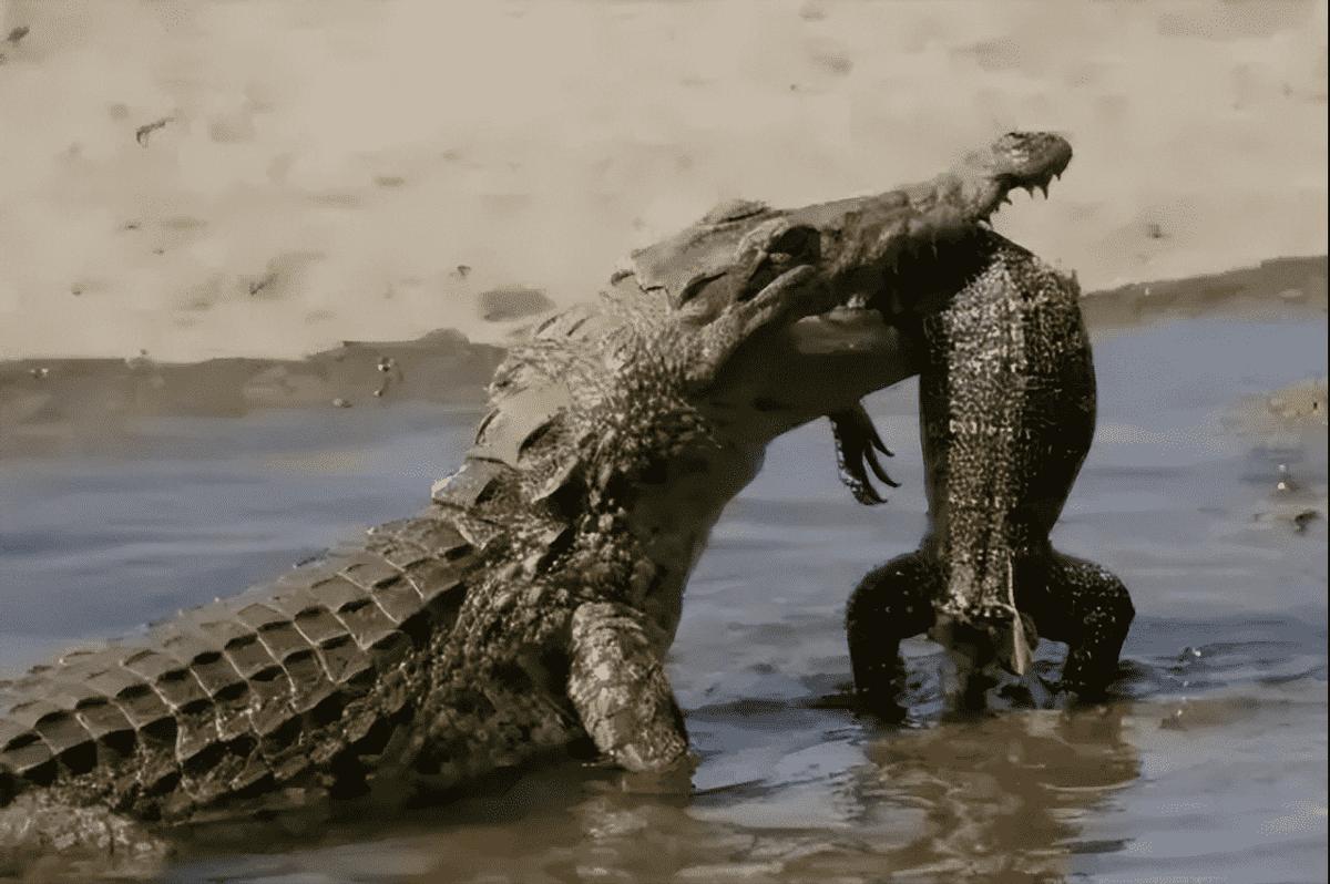 卑鄙龌龊老照片：*楼青**女子妖娆多姿，妇女露胸喂奶被孩子撕扯衣服
