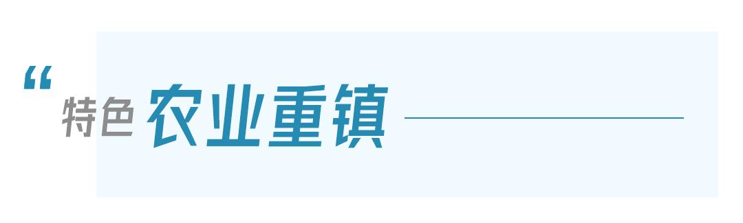 鄂州市泽林镇最新消息,鄂城区泽林镇泽林街