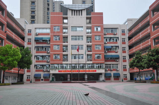 合肥小升初的重点学校,合肥小升初上哪个学校比较好