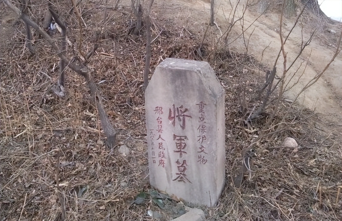 中国即将消失的养鸟文化六：这种鸟深受乾隆帝喜爱，为它特制笼子