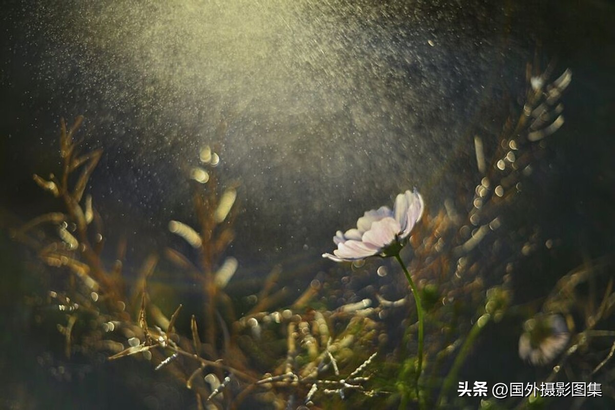 最美的景色秋天照片高清,夏天和秋天的绝美照片