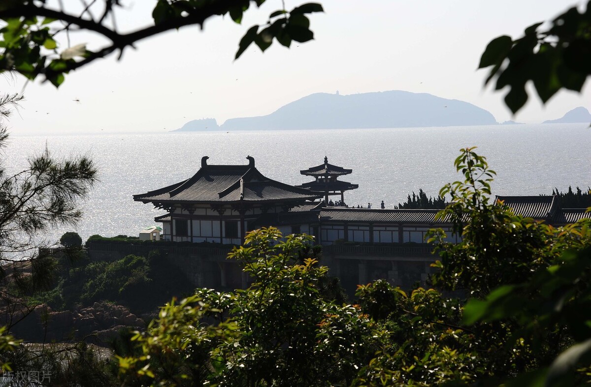 宠物自驾游舟山,舟山自驾游攻略出海带狗