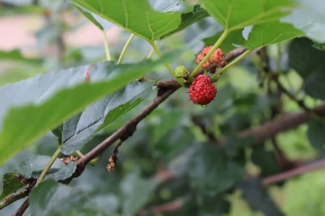 广州各区排名前十名,广州十大名点