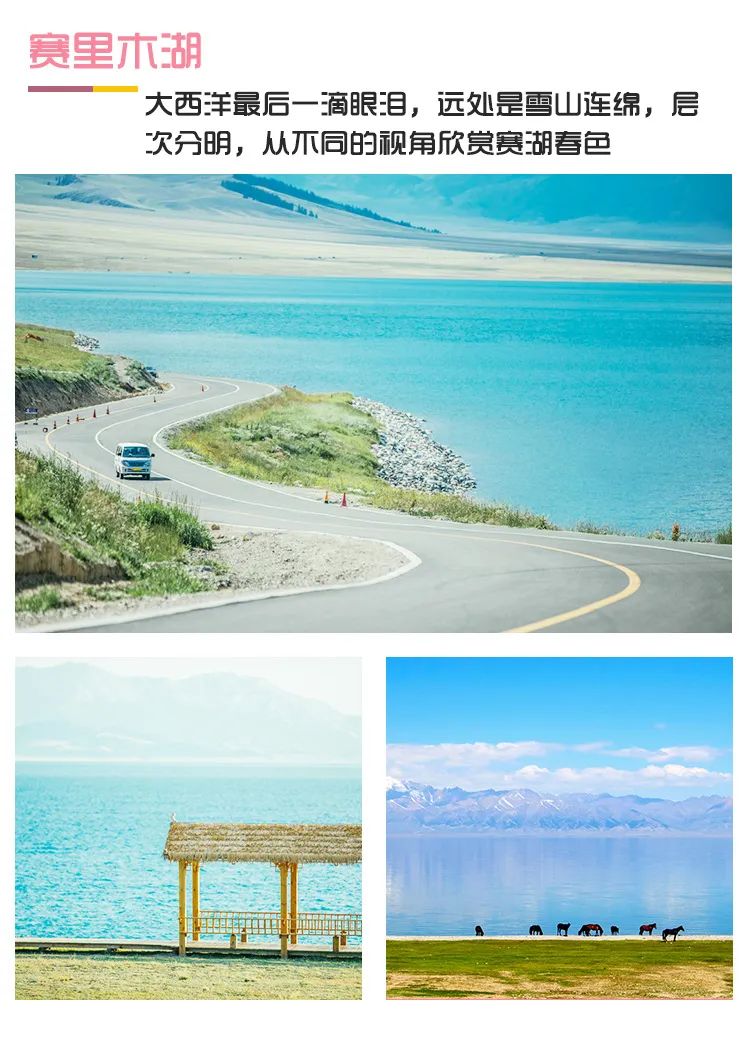 四月新疆伊犁草原,新疆伊犁野杏花最美人间四月天