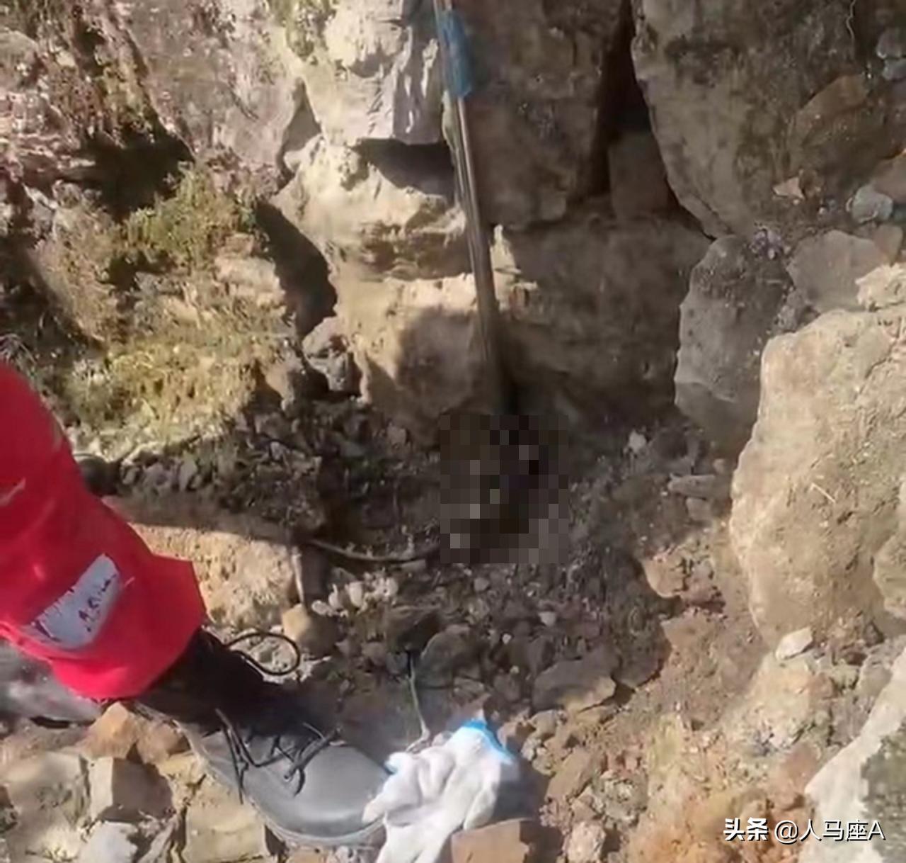 广东一家里出现3米长眼镜蛇,250厘米长眼镜蛇潜入家中惊心动魄