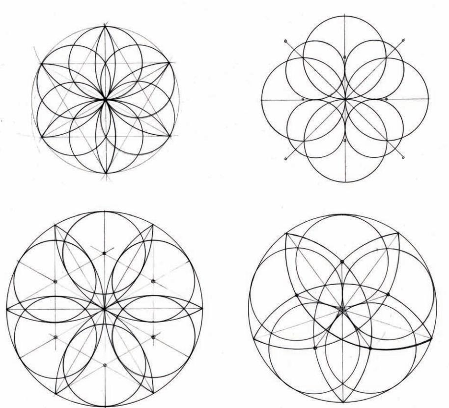 几何之花2：圆的内部分裂