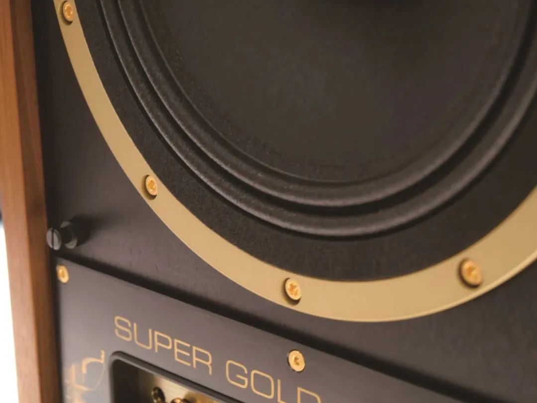 天朗goldmonitor,天朗有源监听音箱8寸gold