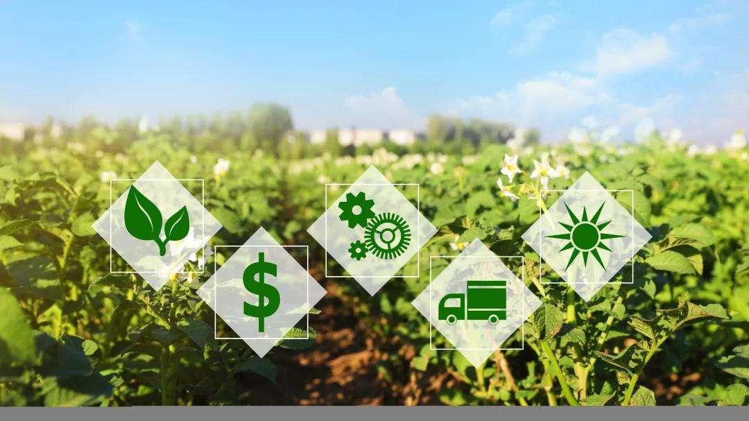 数字经济助力乡村经济振兴,我国数字经济助推乡村振兴的研究