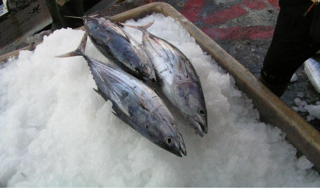 次氯酸消毒液消毒针对哪些食品,次氯酸消毒优点缺点