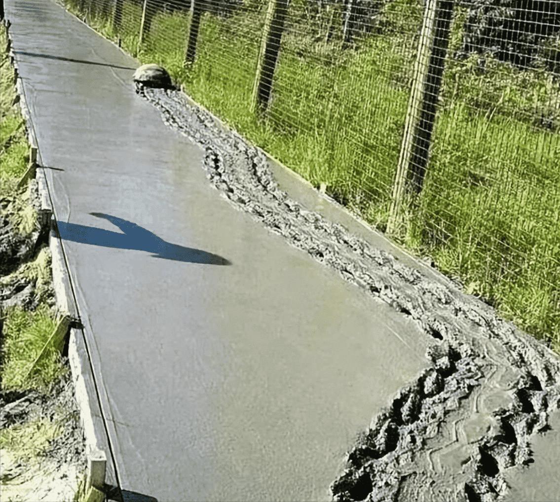 变态的纳粹德国,*光脱**犹太人女人衣服,集体*杀屠**!