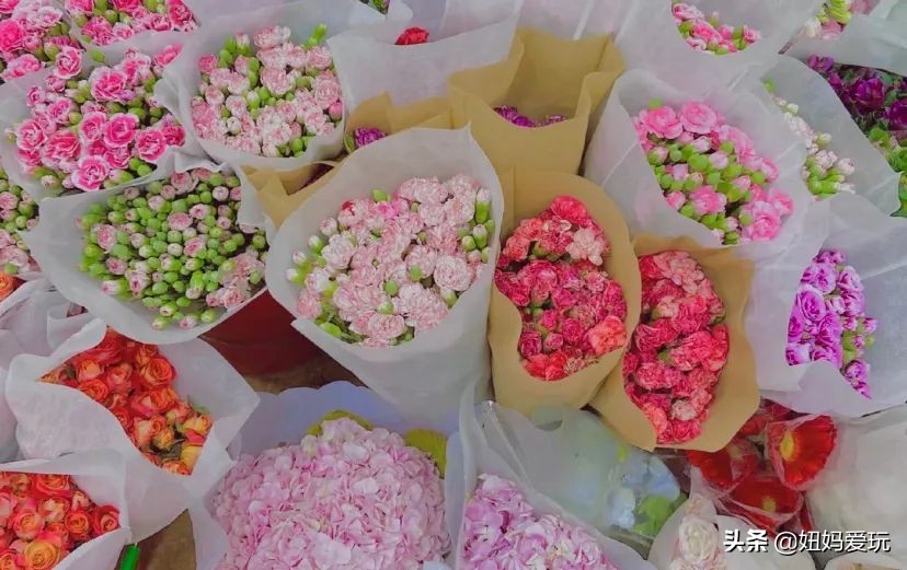 济南市市中区花鸟鱼虫市场在哪里,济南凤凰山花鸟鱼虫市场