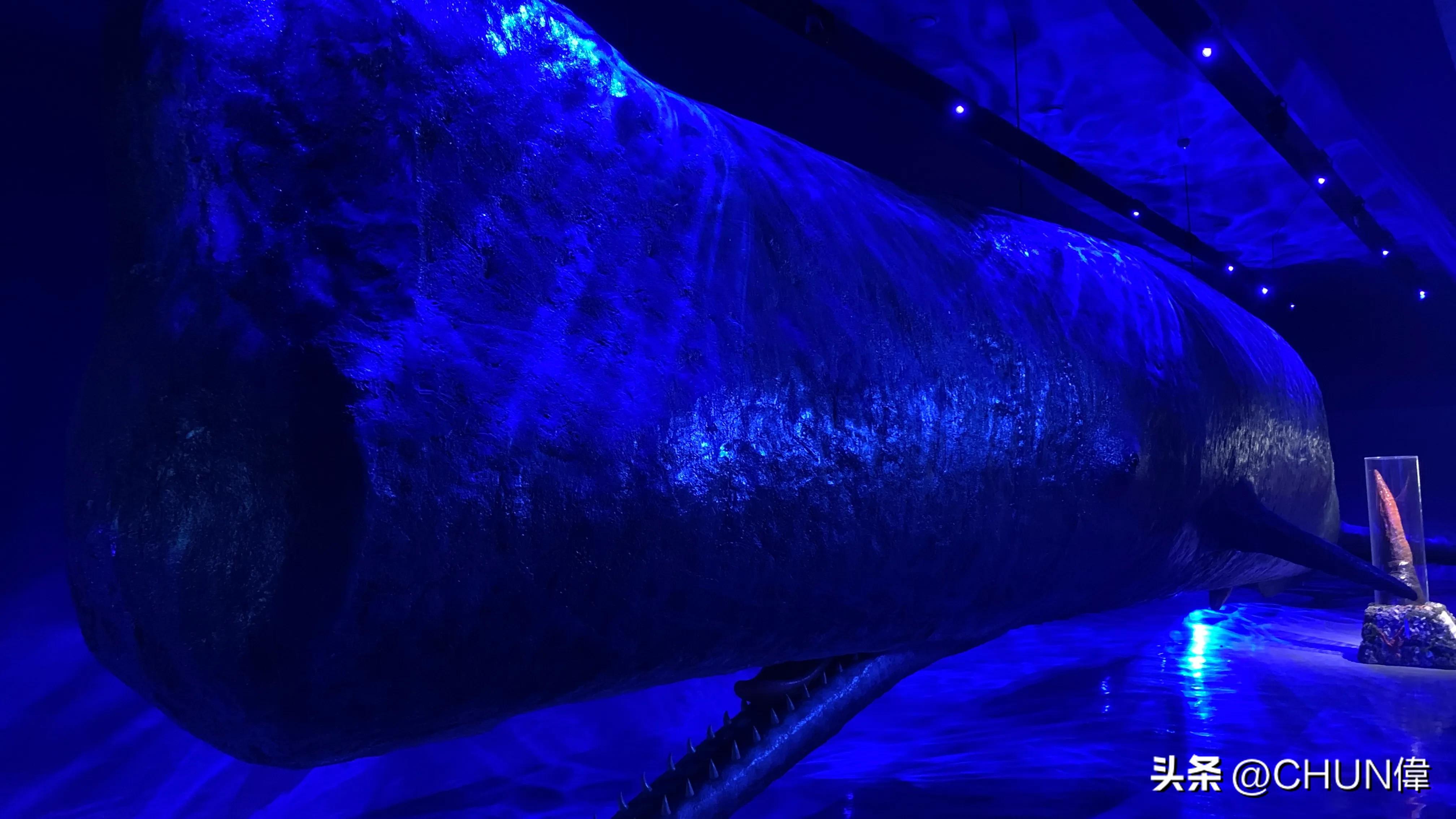 自由行厦门鼓浪屿四天怎么安排,鼓浪屿一日游五一