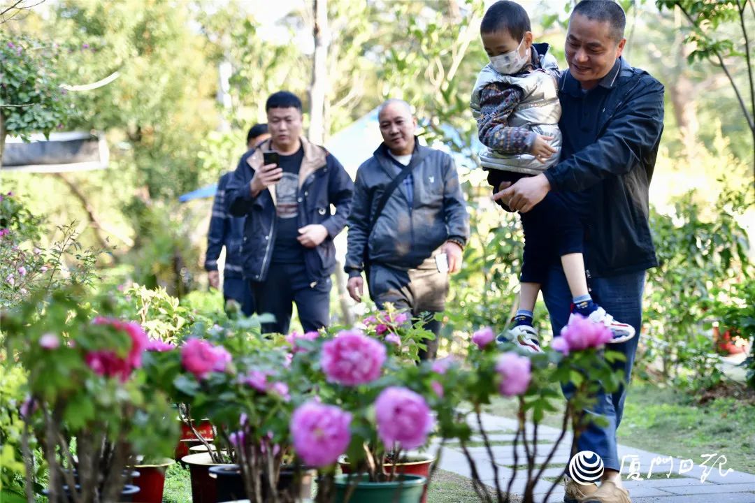 厦门十大最美花海,盘点厦门最美花海的地方