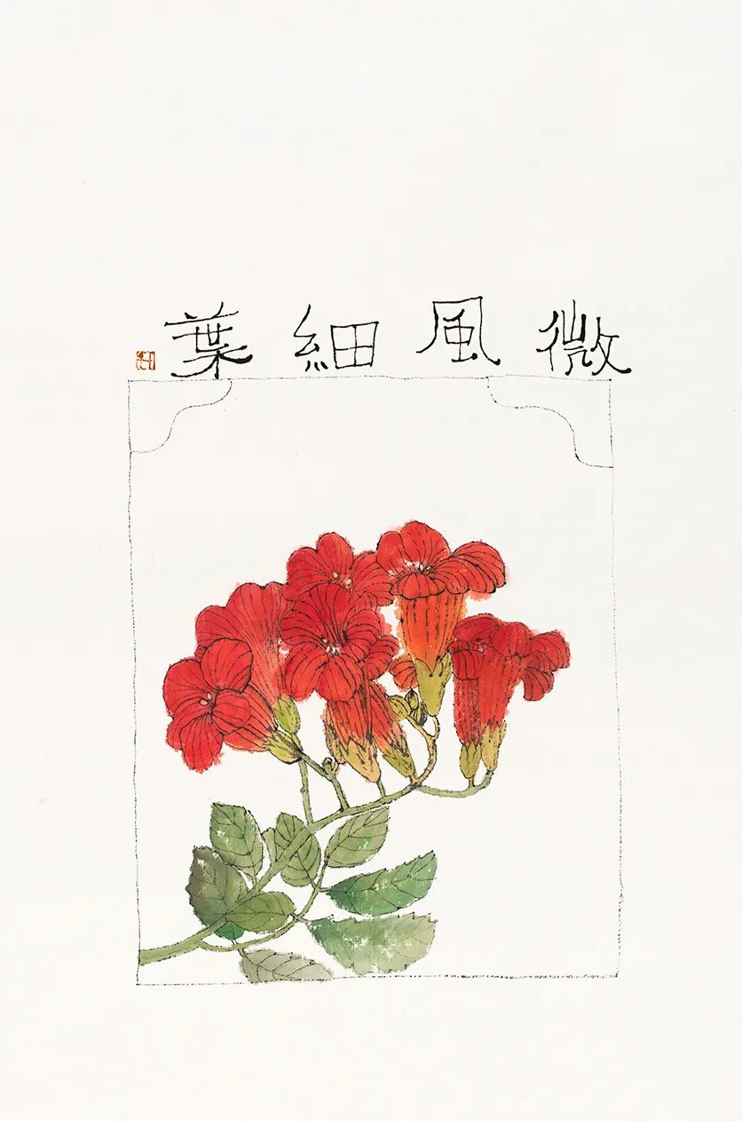 李知弥蔬果图,李知弥作品苦瓜