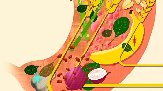 大便憋回去的危害,大便憋回去有危害吗