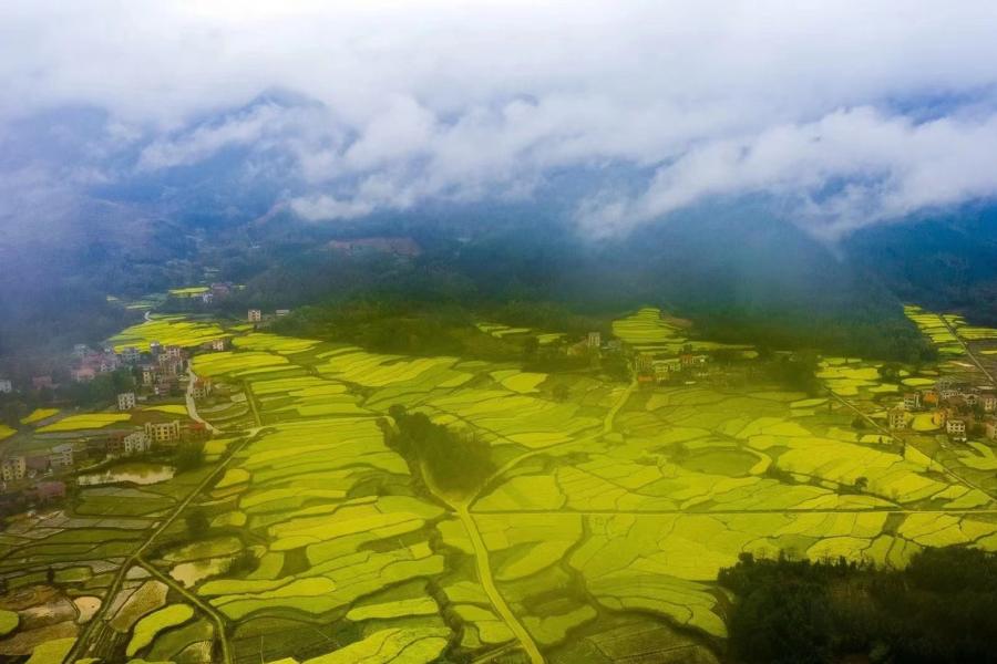 涓浗鍥涘骇鏄ュ煄,涓浗鍥涘ぇ鏄ュ煄