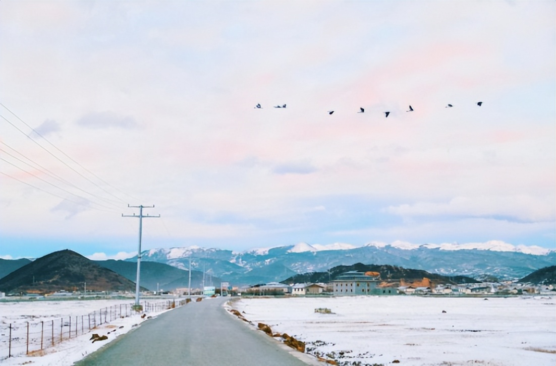 香格里拉野奢民宿,香格里拉野奢度假民宿