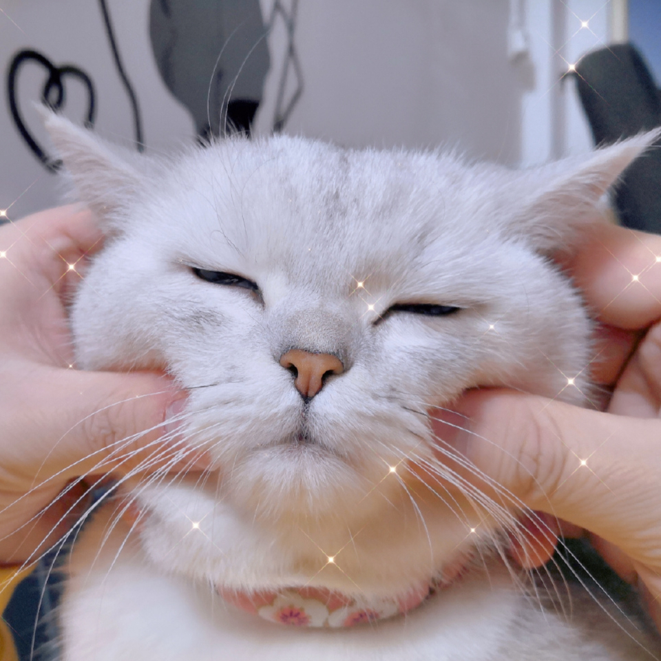 刘强东卸任京东说明什么,京东刘强东要卸任了吗