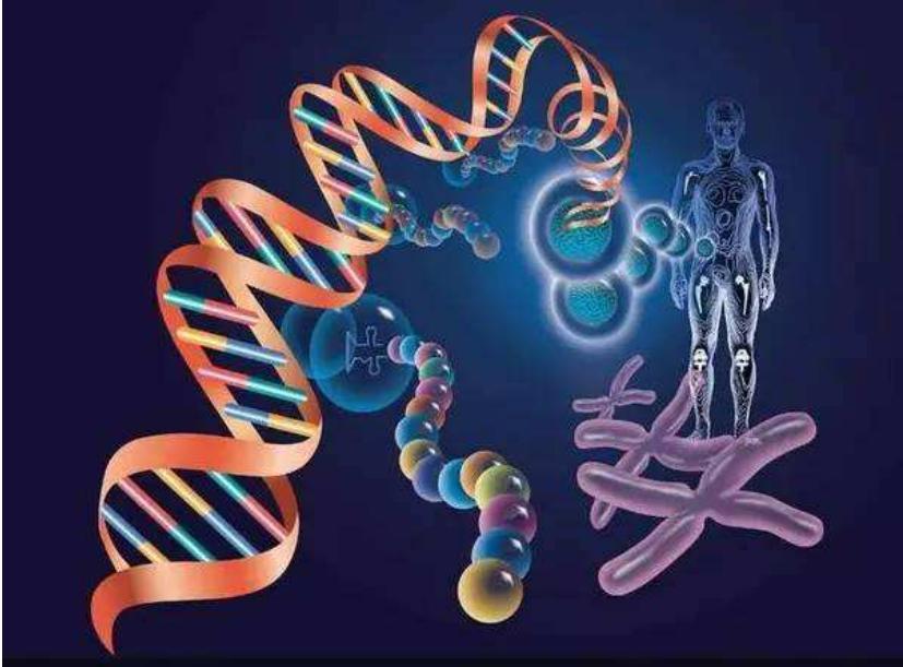 基因编辑改写人类的未来,基因编辑何时临床治疗