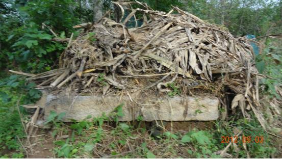 见证百年沧桑的古井,襄阳隋朝古井