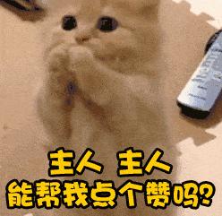 当主人生病时狗狗会怎么做,狗狗能感知主人生病么