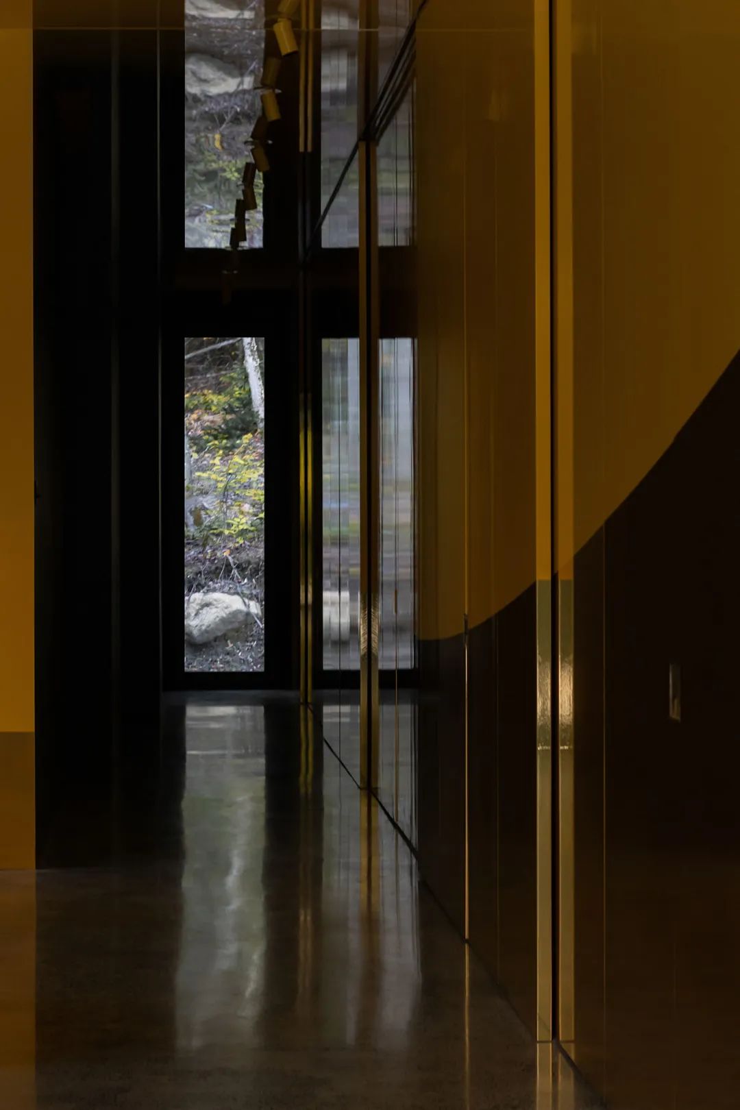 他们把家搬到了森林里，一间森林