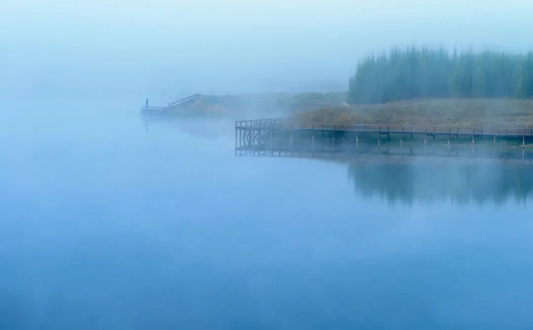 12句时光诗词：欲买桂花同载酒，终不似，少年游！第一句就让人想哭