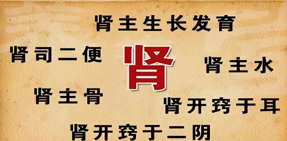 肾阴虚阳虚舌头表现图,肾阴虚和肾阳虚看舌头的区别