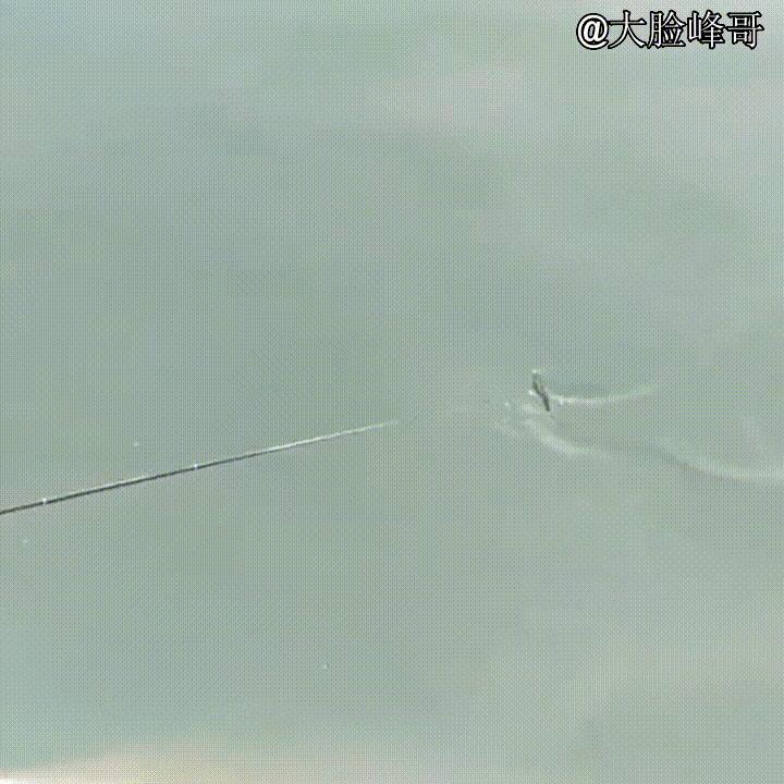 路亚小胖子假饵10g,路亚假饵亮片视频