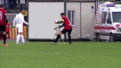 狗冲进足球场挡住一粒进球,小狗进足球场扑球