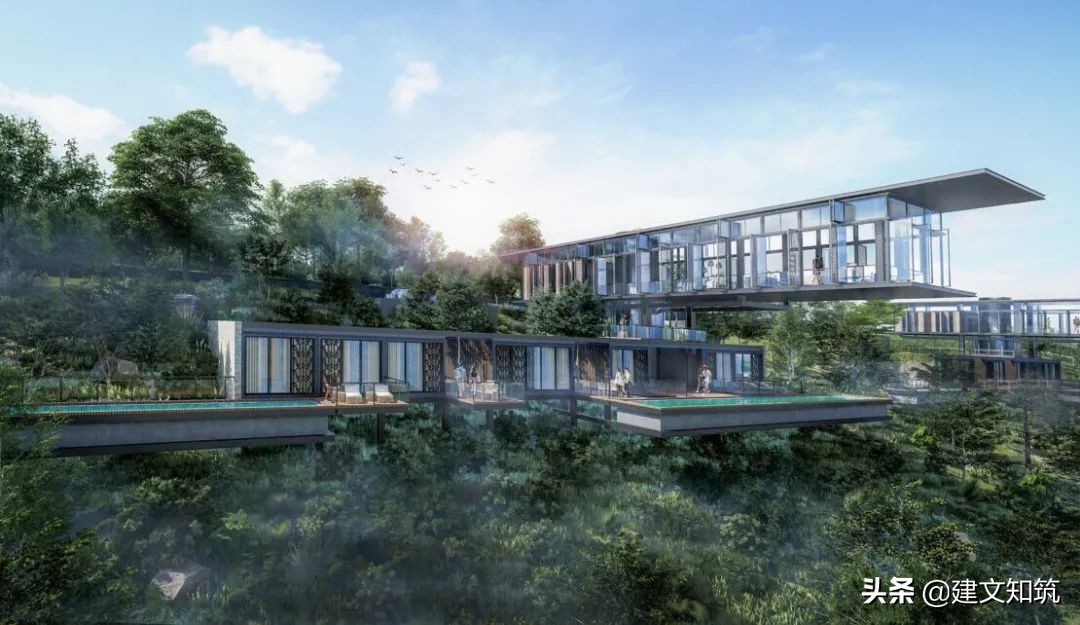 waf2023世锦赛,waf国内排名