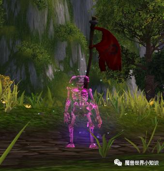 魔兽世界技能绑定宏,魔兽世界变身道具汇总