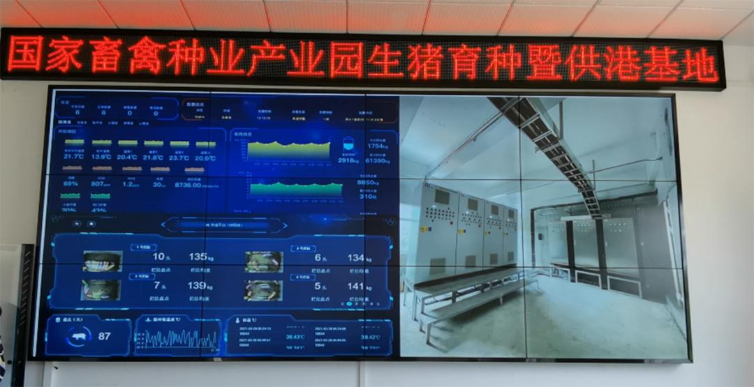 喜迎二十大|水台镇：东融桥头堡康养美水台