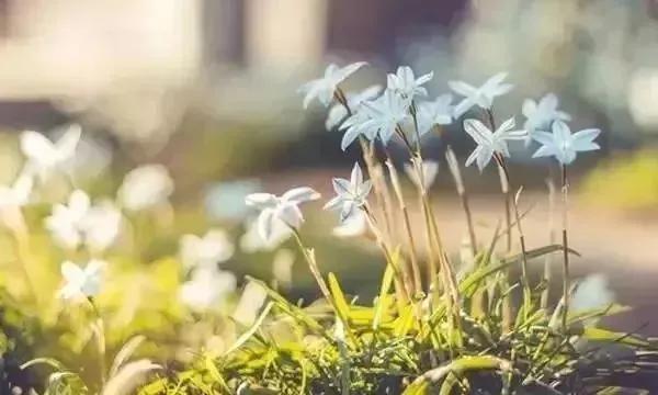 走太急脚累怎么办,走太急脚累是什么原因