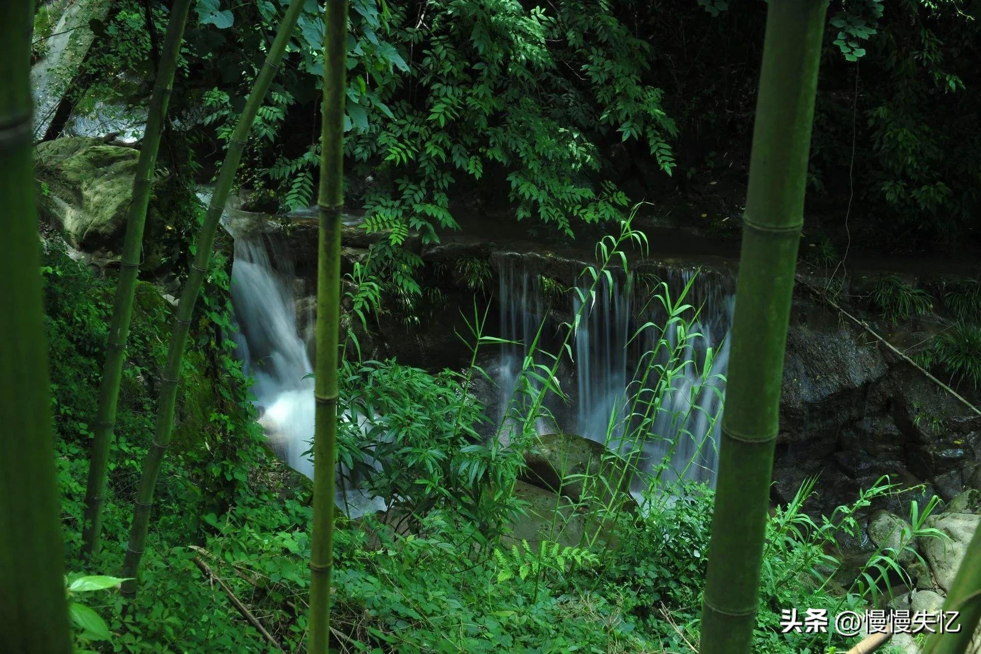 绝美的宋代山水田园诗,宋朝著名的山水诗人及其诗句赏析