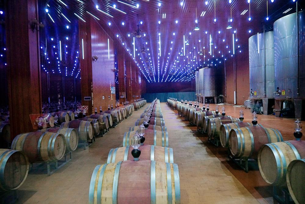 张裕宁夏酒庄最好的干白葡萄酒,宁夏十大葡萄酒酒庄