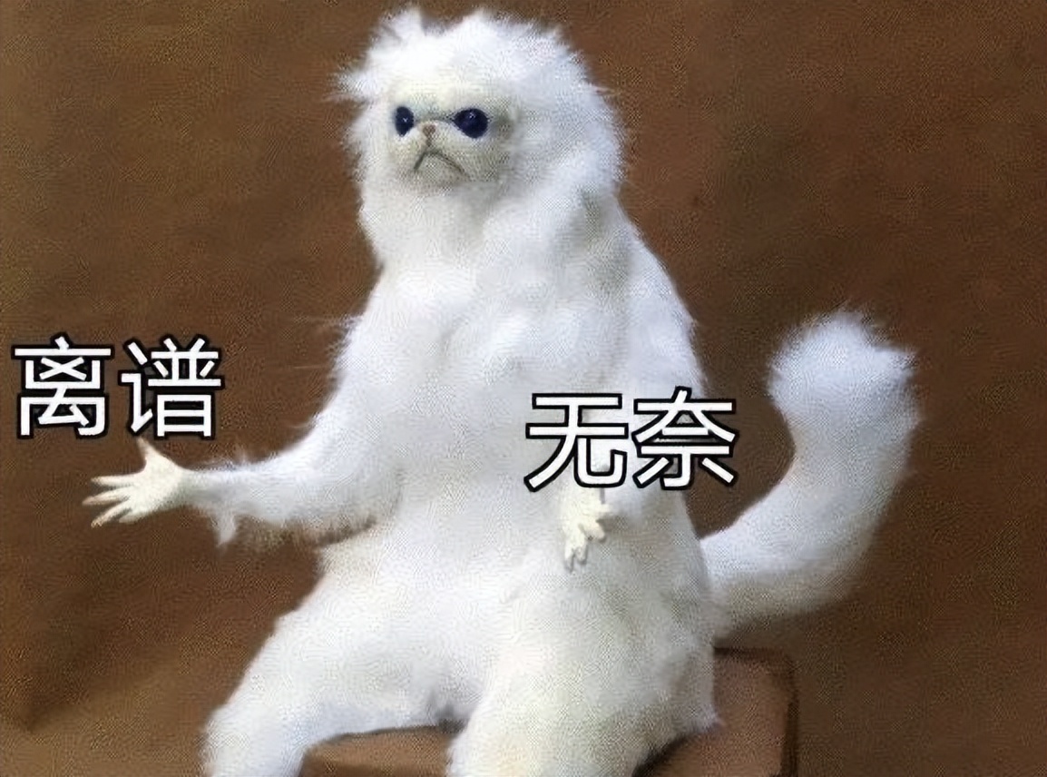 遥望科技底部放量,遥望科技一季报解读