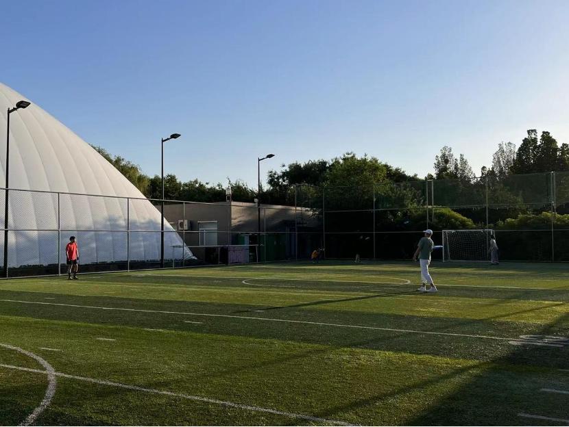 飞盘和足球争场地,飞盘足球打架