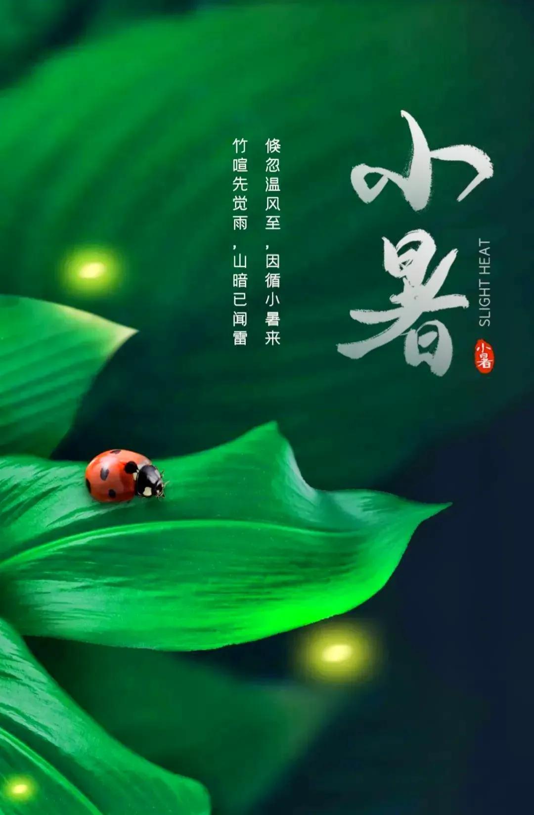 小暑节气快乐高级图片,关于小暑的精美图片