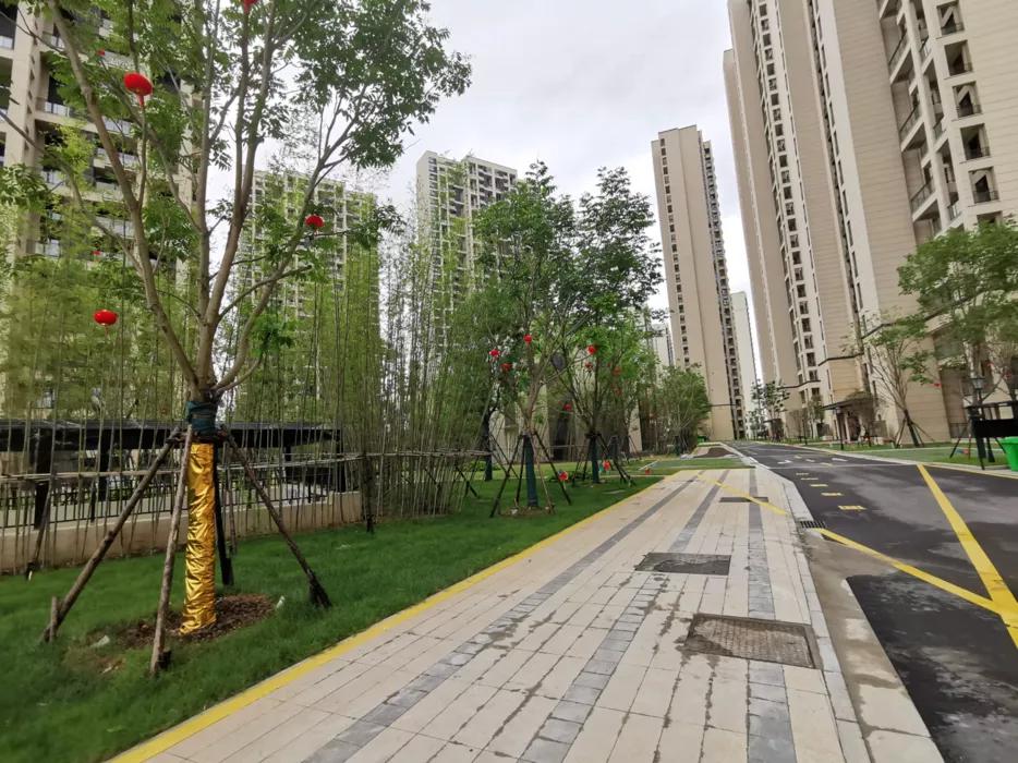 华润、乐富强、海亮……阜阳6大小区一致好评