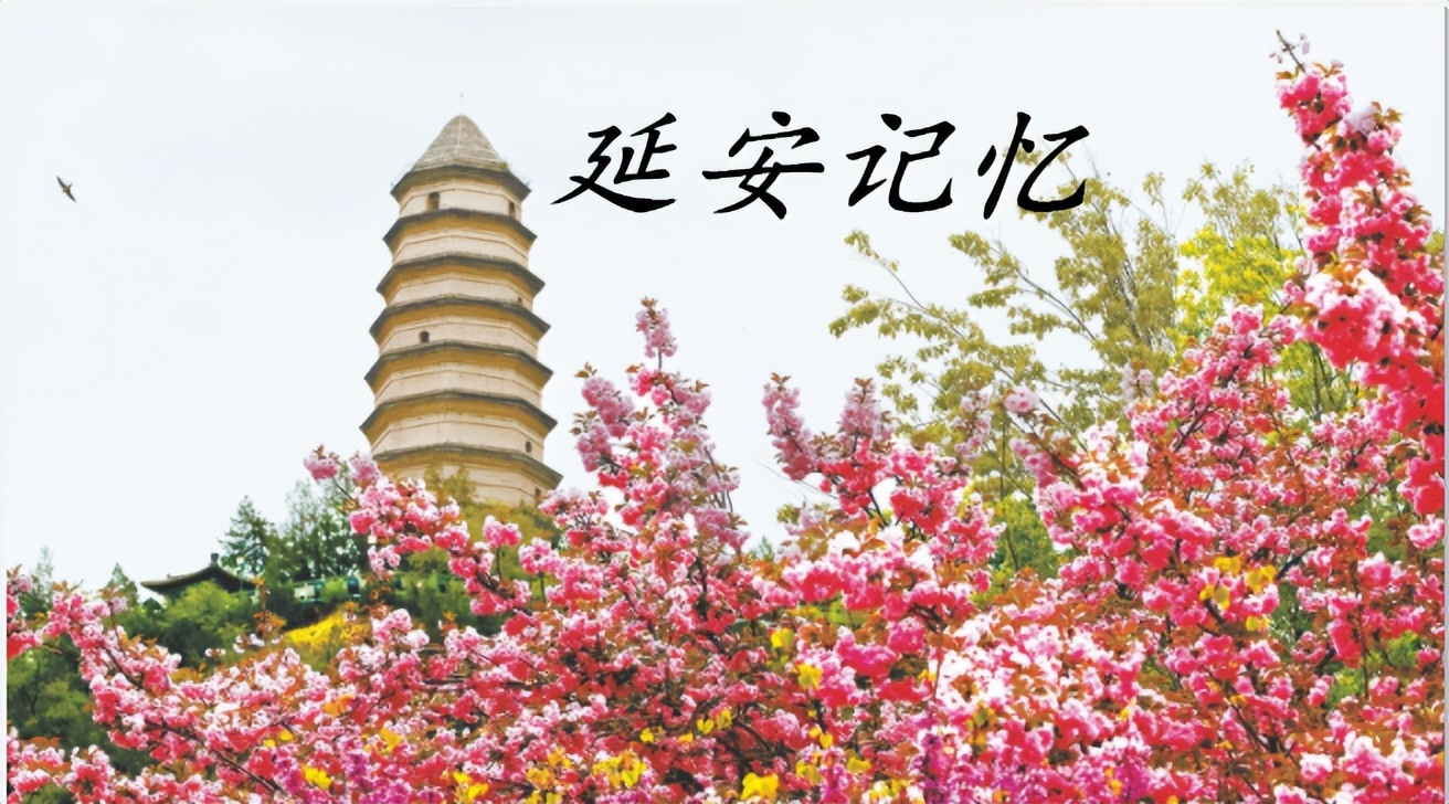 延安往事：7月20日延安历史上今天