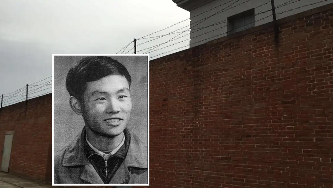 任毅知青之歌始末,任毅知青之歌始末连载