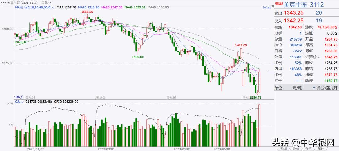 最新全球粮食价格连续大涨分析,国际大豆今日新闻