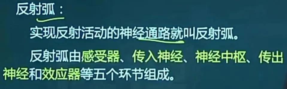 心理学基础第1章第2章笔记,心理学与教育心理学概述总结