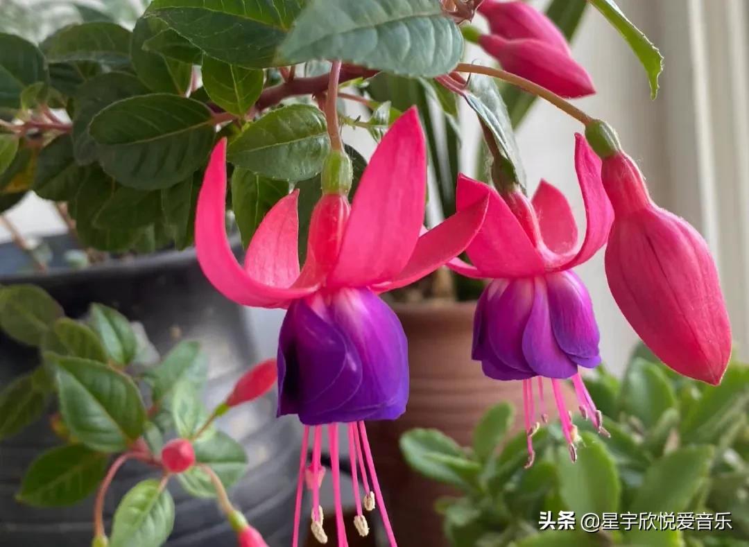 分享惊艳的图片,分享美景的图片卡点