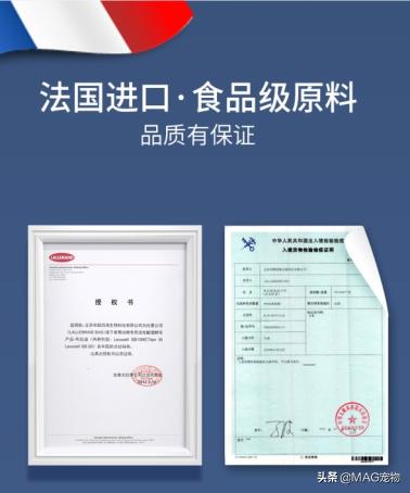 刚出生的小猫没有羊奶粉要喂什么,刚出生的小猫喂羊奶粉应该怎么喂