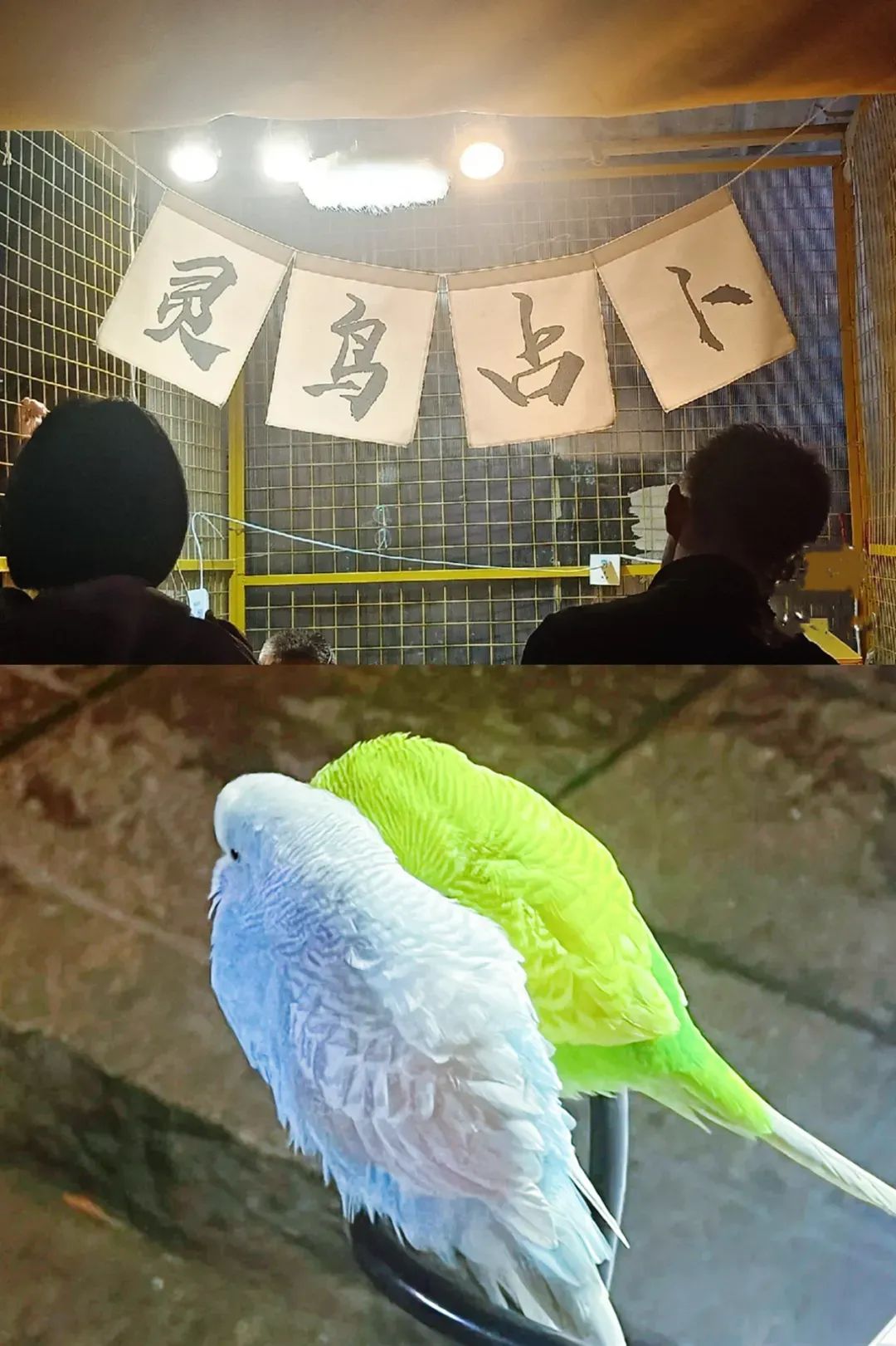 95后夫妻摆摊月入过万,摆地摊年薪百万