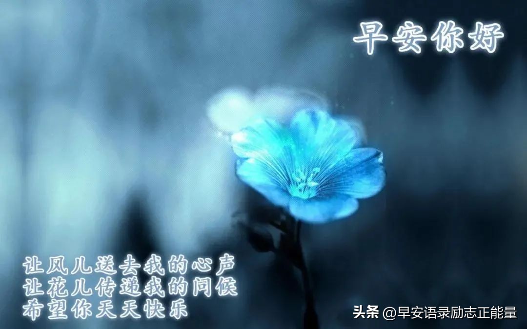 早安语录正能量朋友圈短句子图片,早安语句正能量的句子朋友圈图片