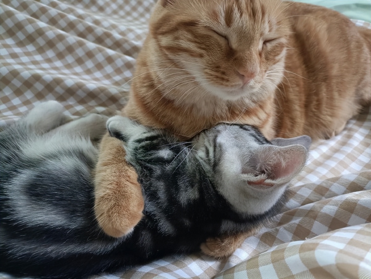 书信礼仪格式范文图,礼仪书信包括什么内容